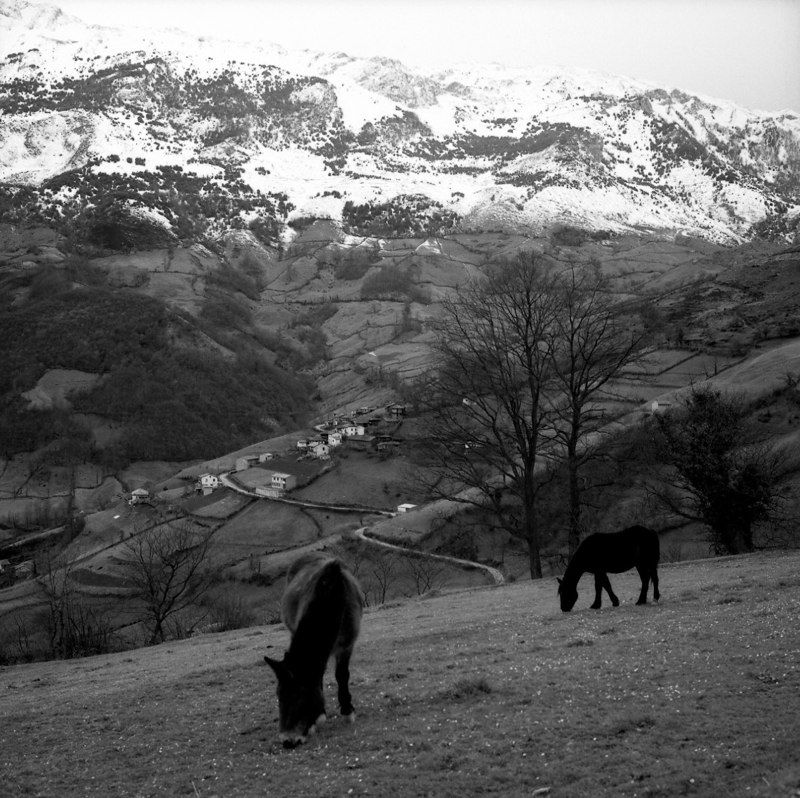 Pueblo de Les Gateres (Riosa) con la Sierra del Aramo al fondo. Crédito de imagen: archivo de José Ramón Lueje, Pueblo de Asturias (Gijón).